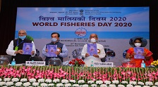 Celebration of World Fisheries Day 2020