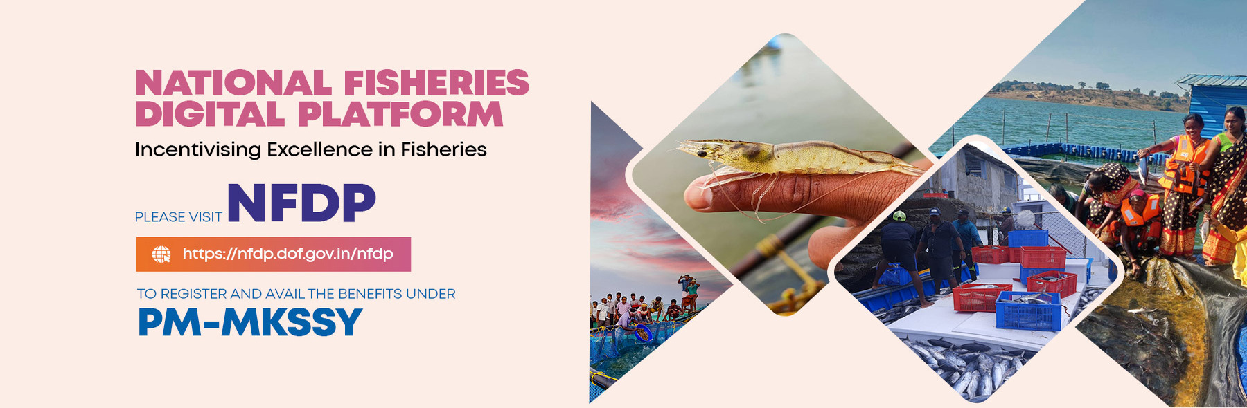 National Fisheries Digital Platform(NFDP)