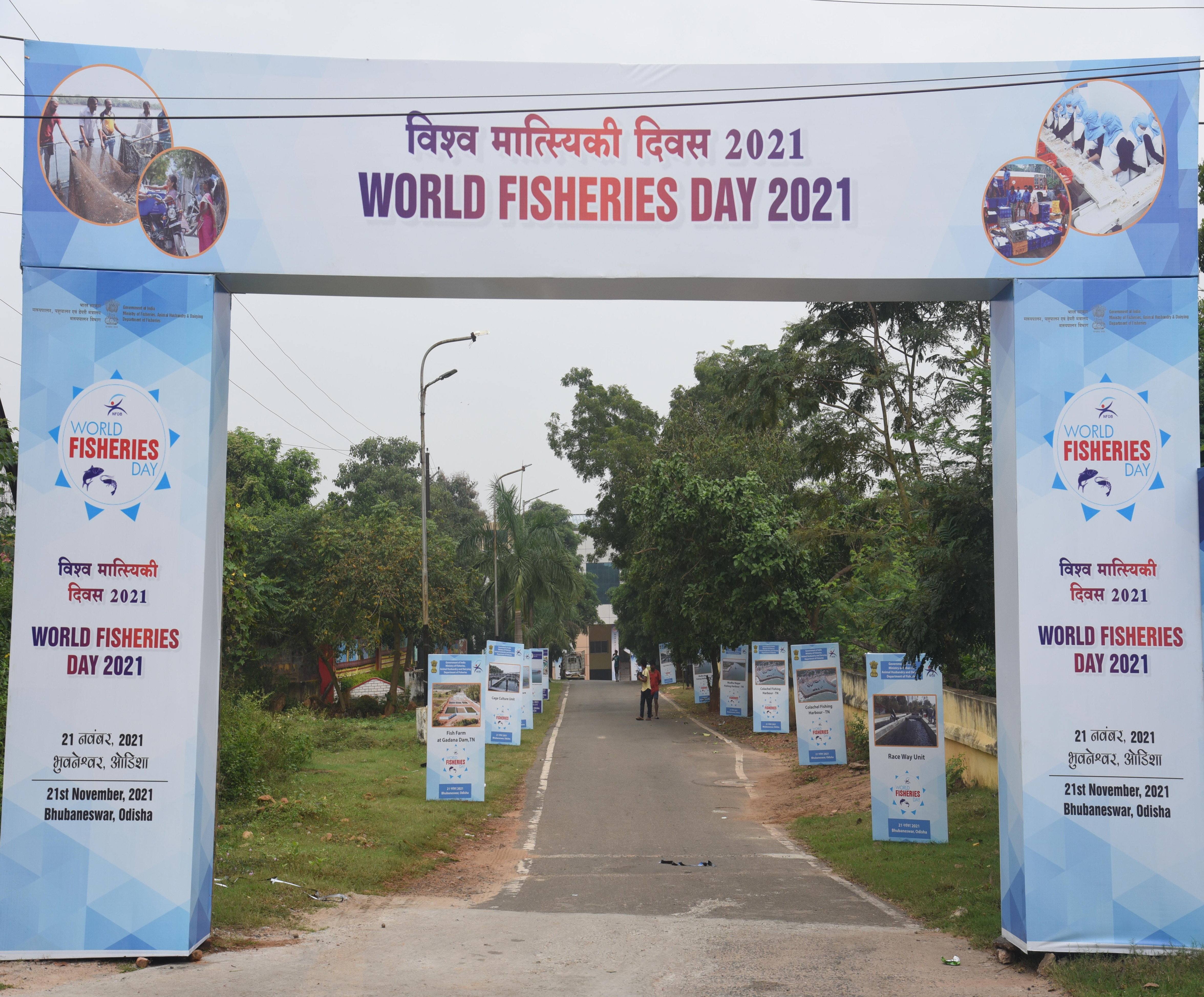 World Fisheries Day 2021