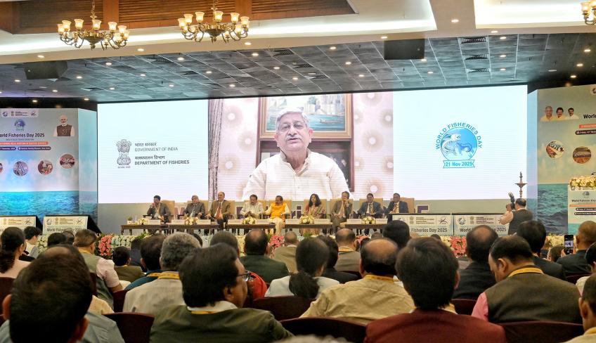 World Fisheries Day 2025